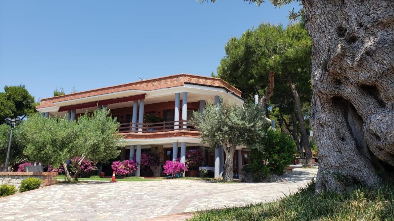 Hotel Brifs Shëngjin Buitenkant foto