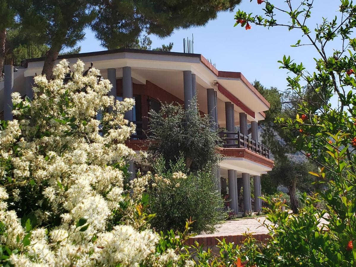 Hotel Brifs Shëngjin Buitenkant foto